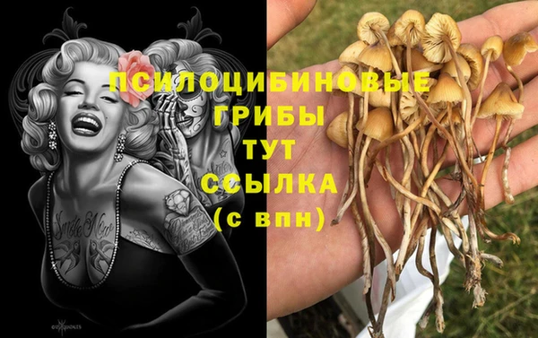ALPHA PVP Михайловка
