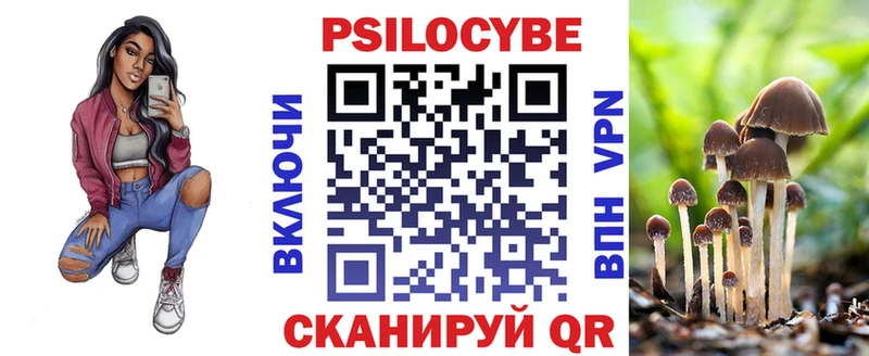где можно купить   Миллерово  Псилоцибиновые грибы MAGIC MUSHROOMS 